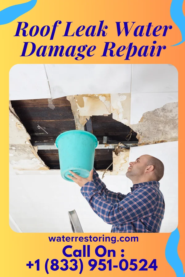 Roof Leak Water Damage Repair in Lakefield, MN